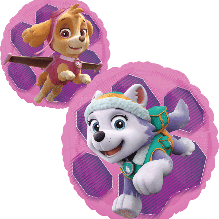 Paw Patrol Skye y Everest