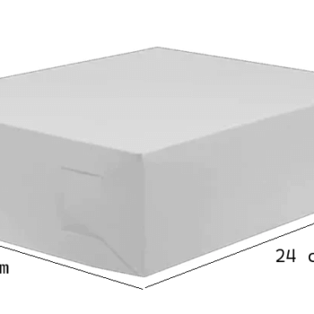 Caja Blanca 24x20+9