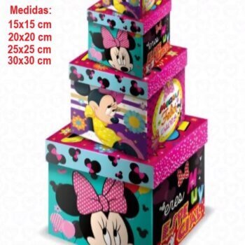 Cubo Minnie